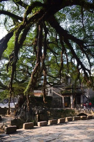 博皓游記 | 夏風(fēng)微醺的綺夢，領(lǐng)略賀州黃姚古鎮(zhèn)、姑婆山閑憩之美-12
