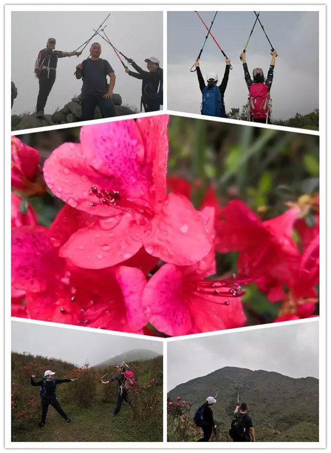 3月29日，云浮新興縣登天麓山&賞杜鵑花
