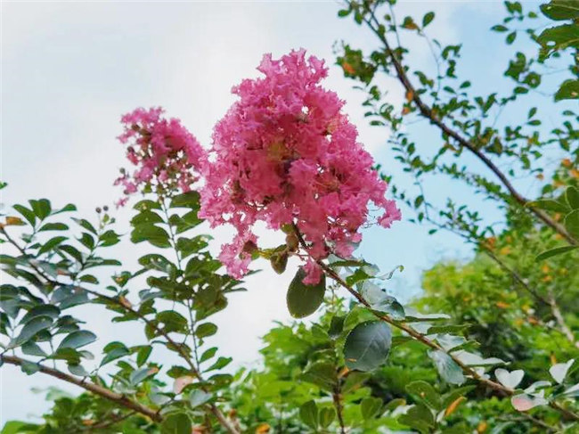 呼吸鮮氧，踐行公益——廣東博皓公益活動(dòng)：星溪線公益環(huán)?；顒?dòng)   -5