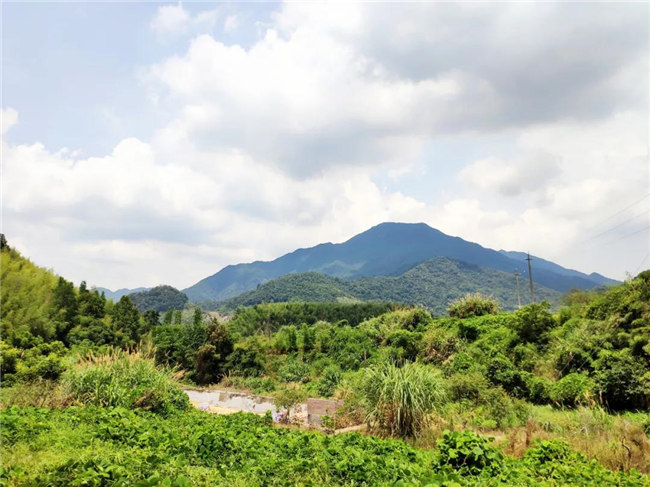 呼吸鮮氧，踐行公益——廣東博皓公益活動(dòng)：星溪線公益環(huán)?；顒?dòng)   -6