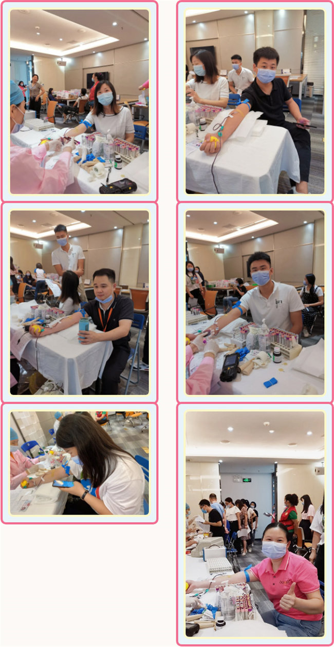 捐獻(xiàn)青春熱血，彩繪人生畫卷——廣東博皓總班委組織了一次“捐我熱血，呵護(hù)生命”的無償獻(xiàn)血公益活動(dòng)    -3