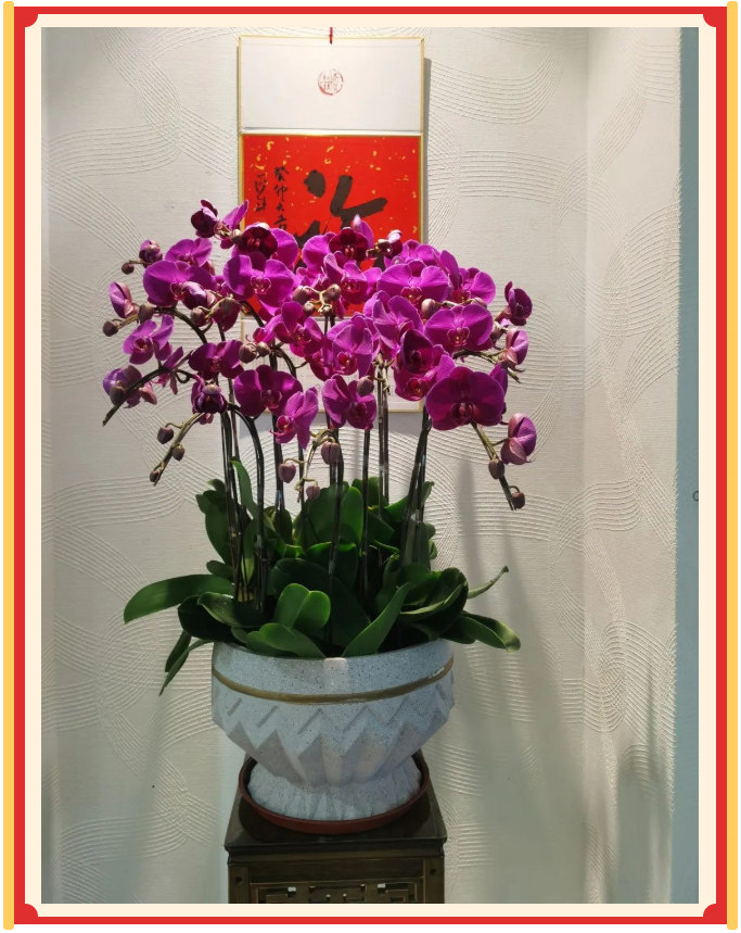 廣東博皓開工大吉丨金虎騰躍，兔來運轉(zhuǎn)           -23