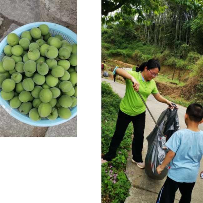 生命和綠色擁抱，人類(lèi)與生態(tài)共存——2023年廣東博皓公益活動(dòng)   -1