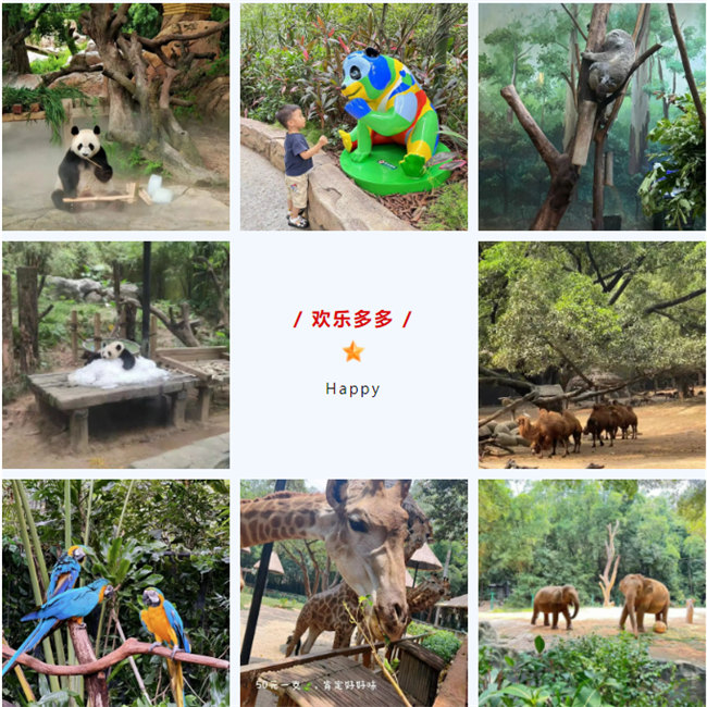 大手牽小手，快樂(lè)親子游！廣東博皓2023年親子游活動(dòng)        -8