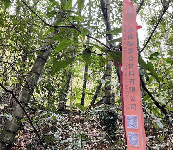 凝心聚力再出發(fā)，風(fēng)雨同舟赴星溪！--廣東博皓2024龍年首登星溪之旅     -2
