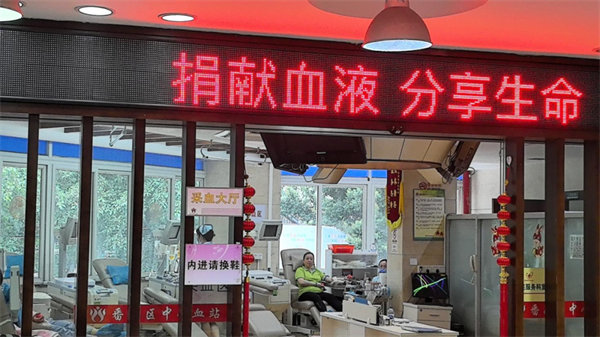 點點滴滴熱血濃，人道博愛處處情———2024年廣東博皓公益活動
