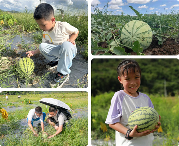 趣游盛夏，一路童行—2024年廣東博皓親子游   -12