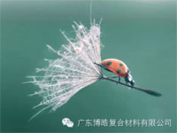 【博皓感悟】成功，要“借力”，不要“盡力”