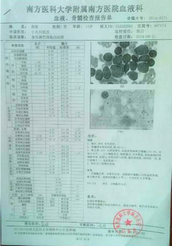 高俊的血液、骨髓檢查報(bào)告單
