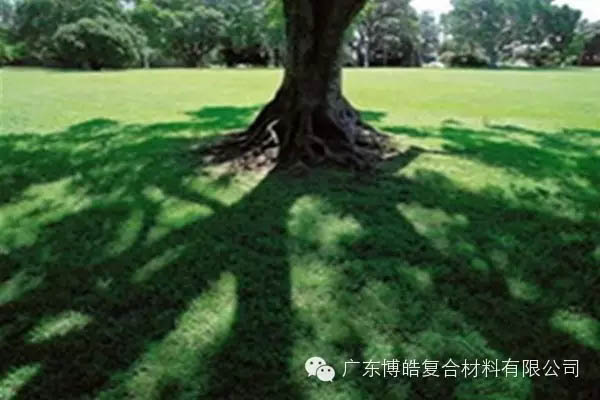 【博皓感悟】欲為大樹，莫與草爭(zhēng)-6