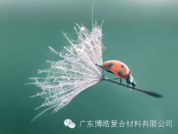 【博皓感悟】成功，要“借力”，不要“盡力”